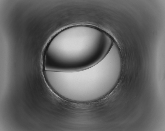 X0000088391508200705220750
