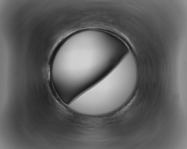 X0000088391509200705220750