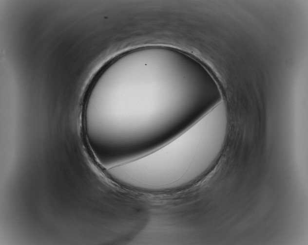 X0000088391511200705220750