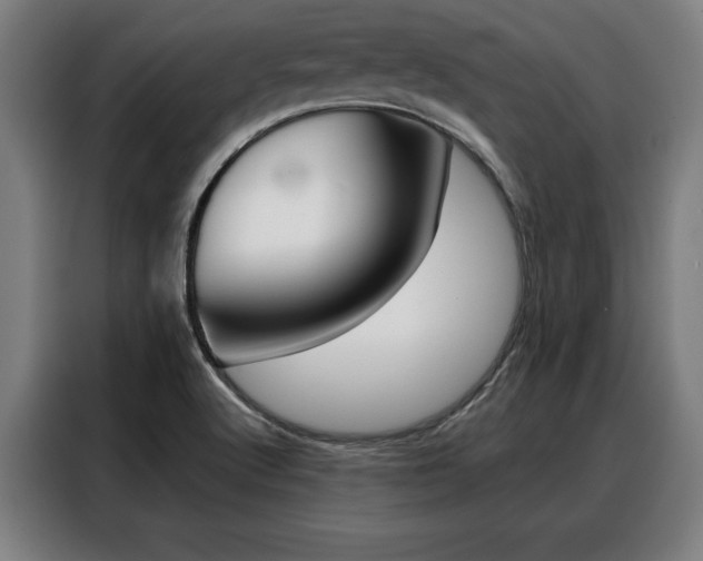 X0000088391512200705220750