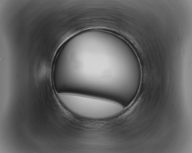 X0000088391513200705220750