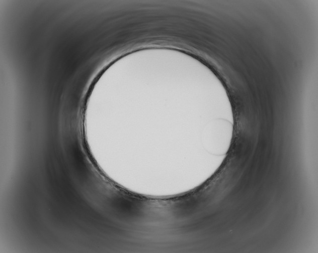 X0000088391514200705220750