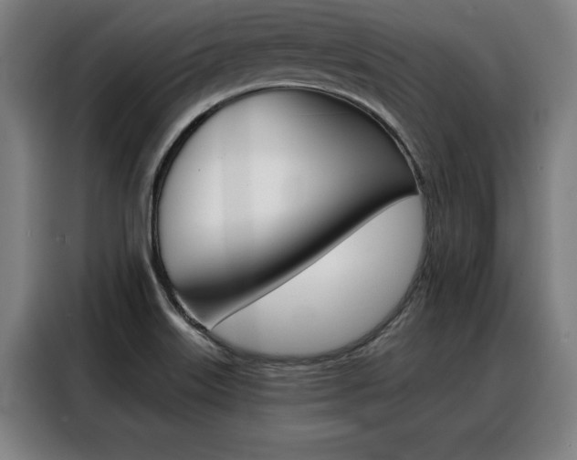 X0000088391515200705220750
