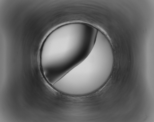 X0000088391516200705220750