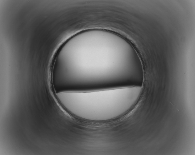 X0000088391517200705220750