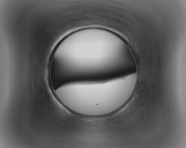 X0000088391518200705220750