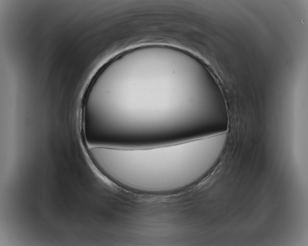 X0000088391519200705220750