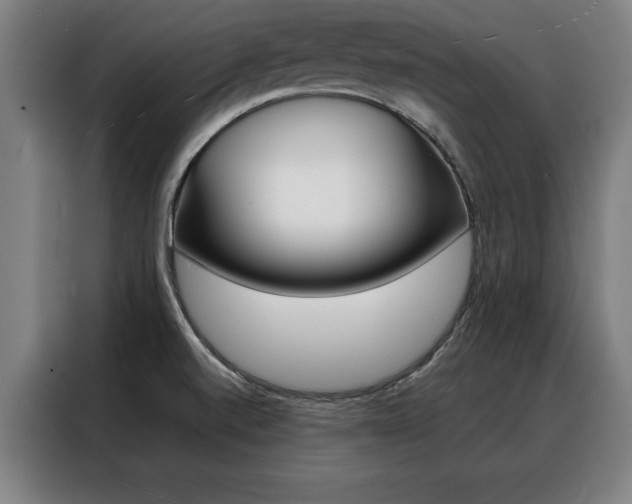 X0000088391520200705220750
