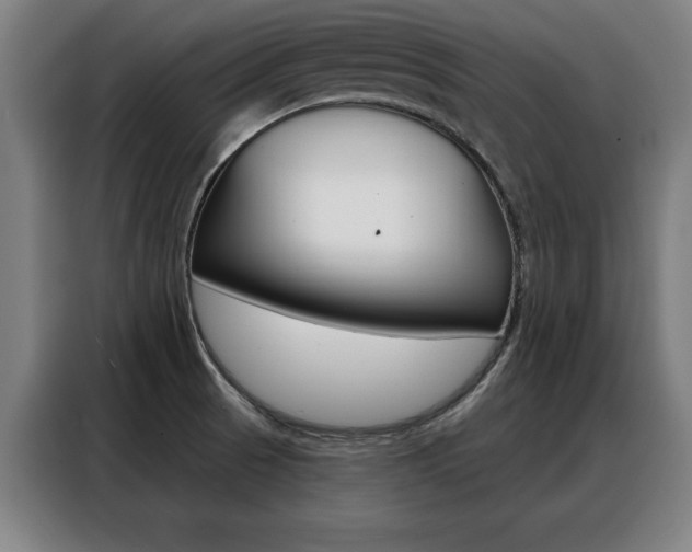 X0000088391521200705220750