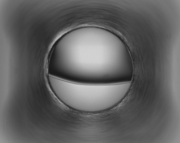 X0000088391522200705220750