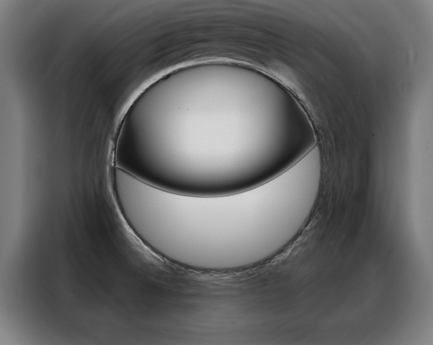 X0000088391524200705220750