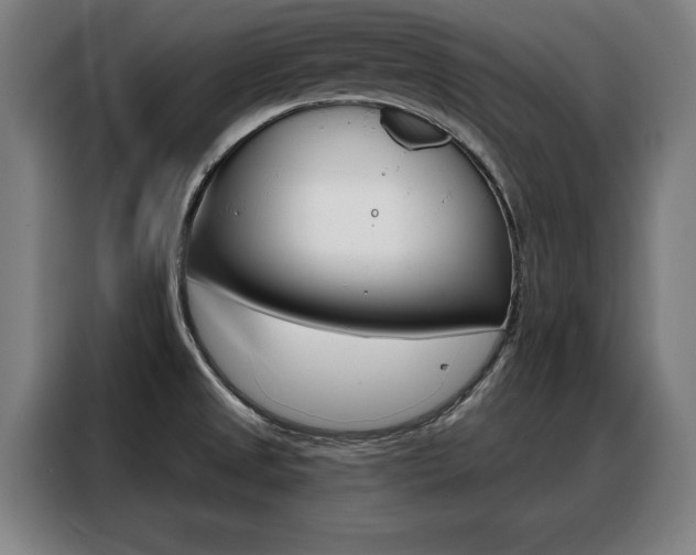 X0000088391525200705220750
