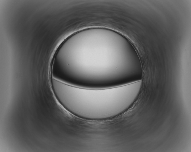 X0000088391527200705220750