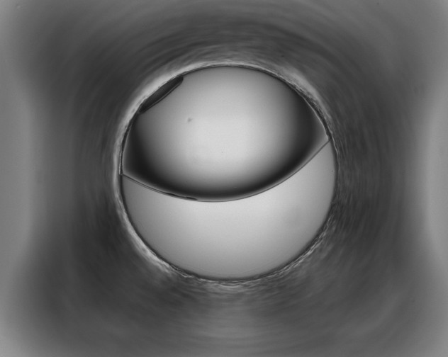X0000088391528200705220750