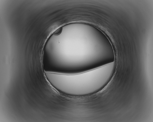 X0000088391529200705220751