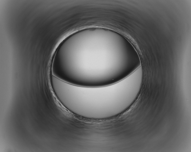 X0000088391530200705220751