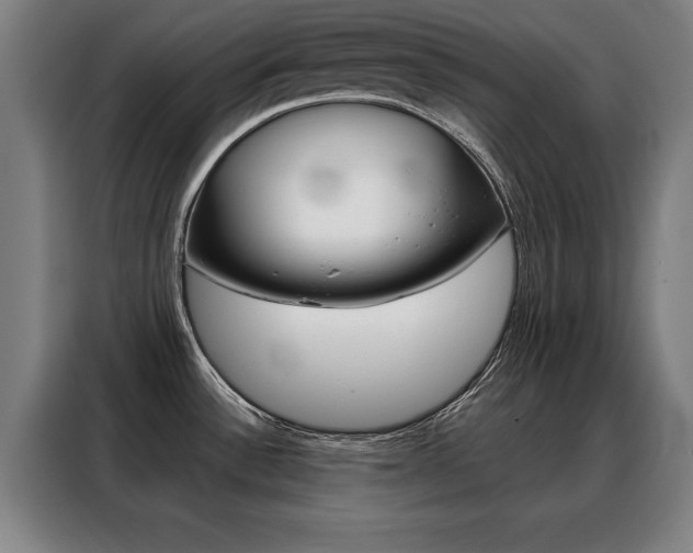 X0000088391532200705220751