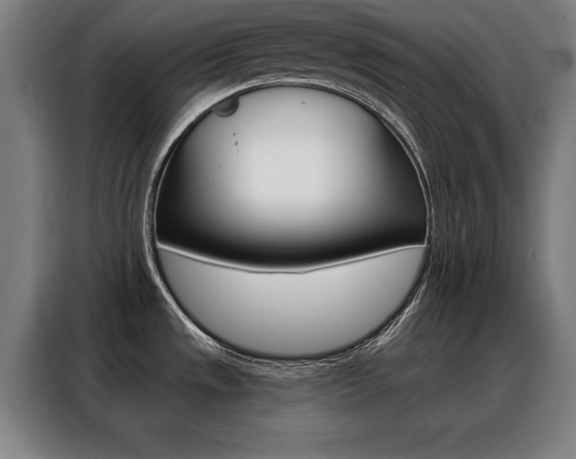 X0000088391533200705220751