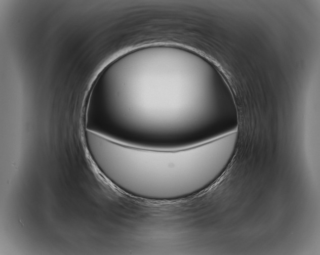 X0000088391534200705220751