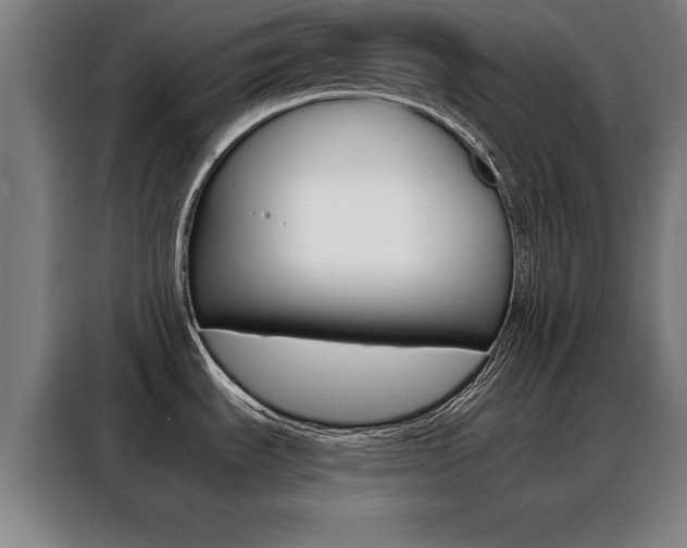 X0000088391535200705220751