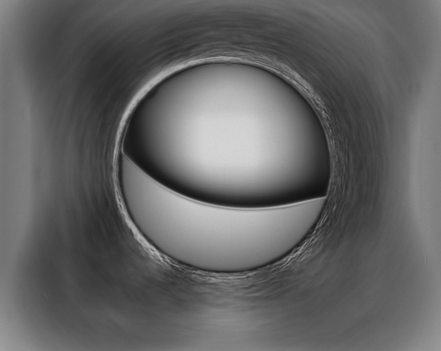 X0000088391536200705220751