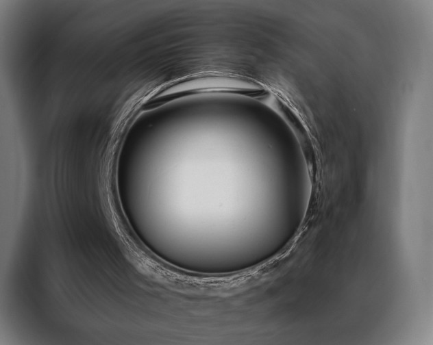 X0000088390001200705221124