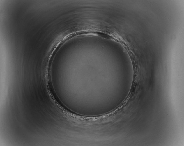 X0000088390002200705221124