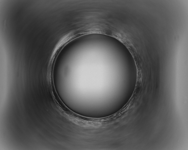 X0000088390004200705221124