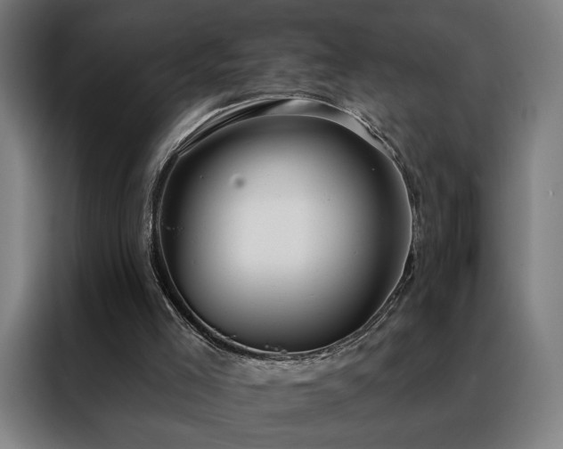 X0000088390005200705221124