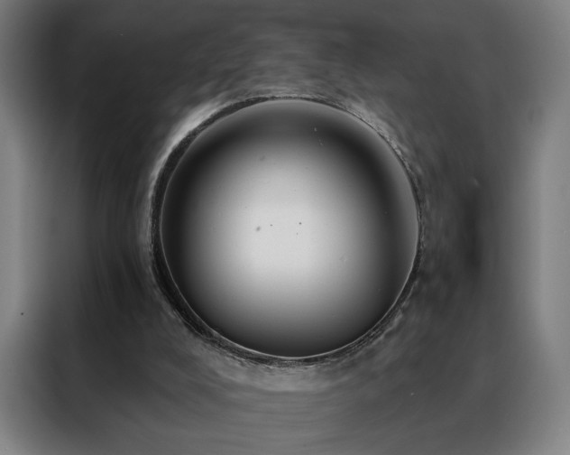 X0000088390008200705221124