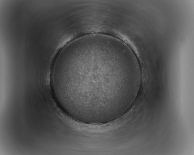 X0000088390010200705221124