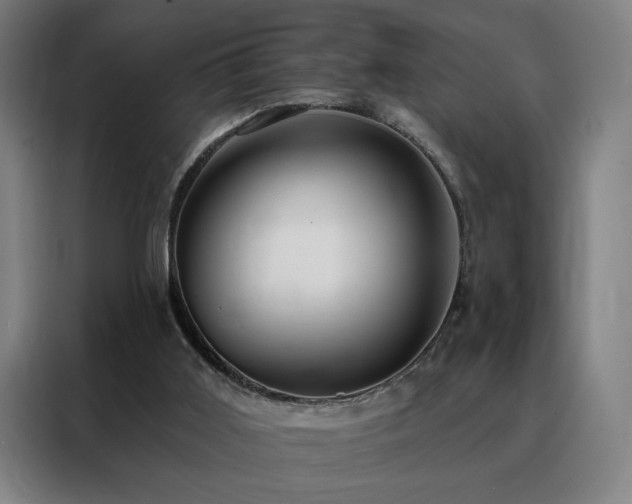 X0000088390011200705221124