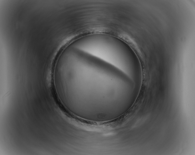 X0000088390012200705221124