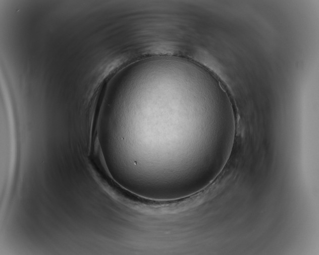 X0000088390013200705221124