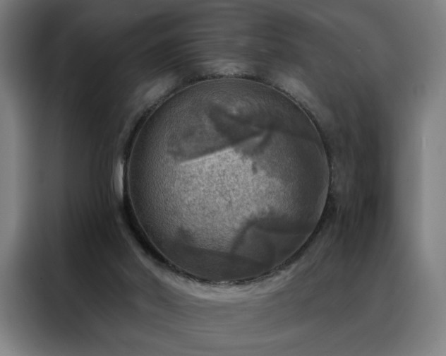 X0000088390014200705221124