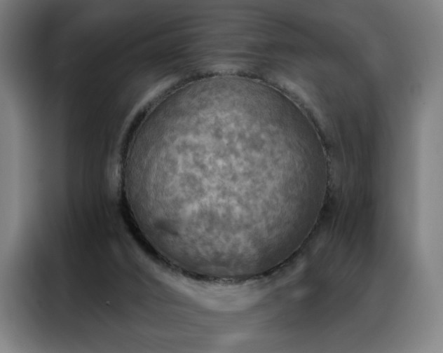 X0000088390016200705221124