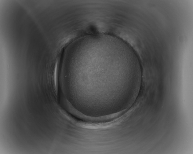 X0000088390017200705221124