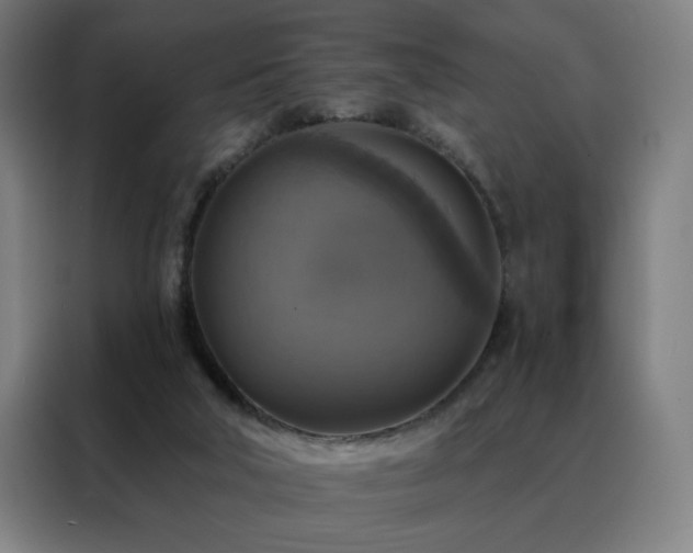 X0000088390018200705221124