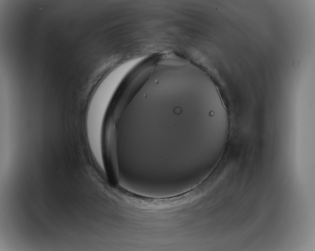 X0000088390019200705221124