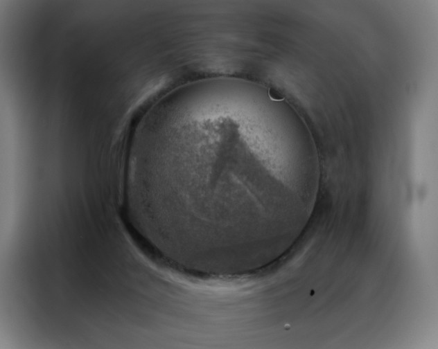 X0000088390020200705221124