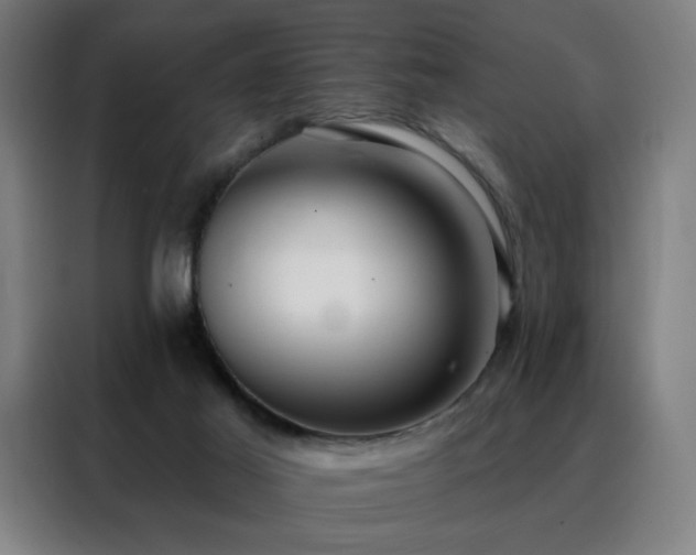 X0000088390021200705221124