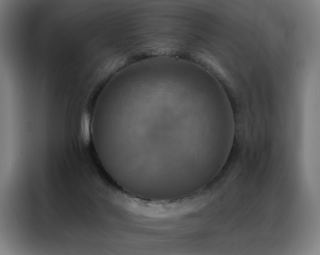 X0000088390022200705221124