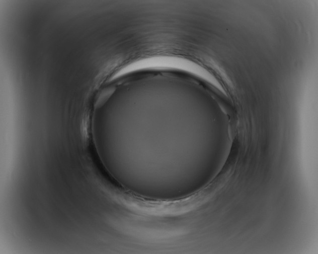 X0000088390023200705221124