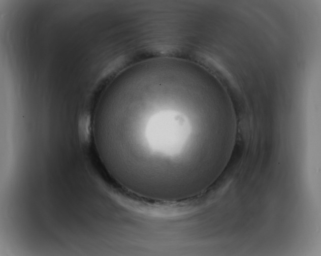 X0000088390024200705221124