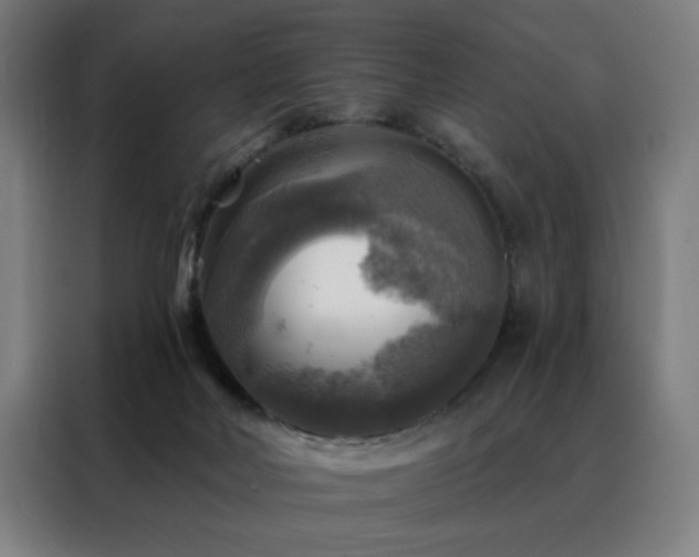 X0000088390026200705221124