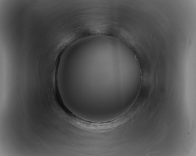 X0000088390027200705221124