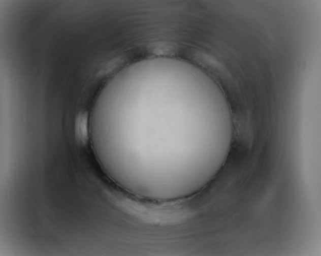 X0000088390028200705221124