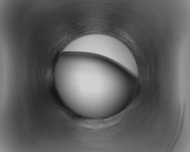 X0000088390029200705221124