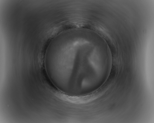 X0000088390030200705221124