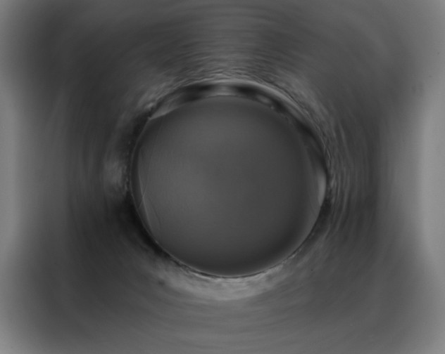 X0000088390031200705221124